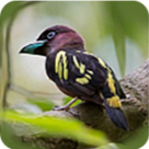 第一视角自拍APP应用