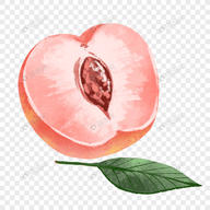 A片网APP A片网APP